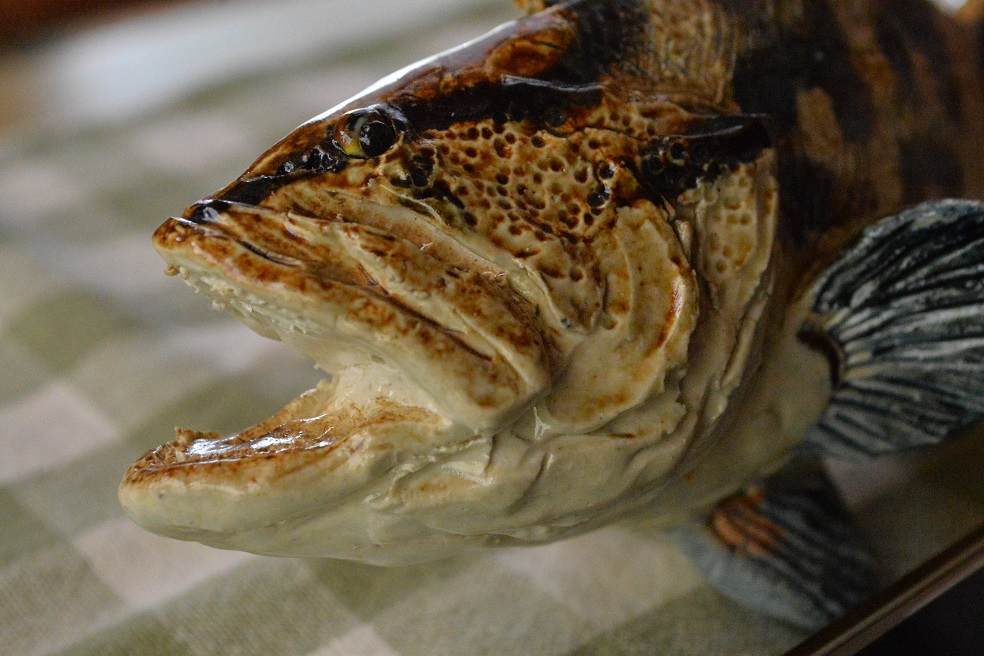 渓流魚剥製 山女魚の流木台座付き 【公式通販】